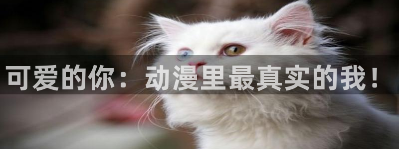 omofun在线观看