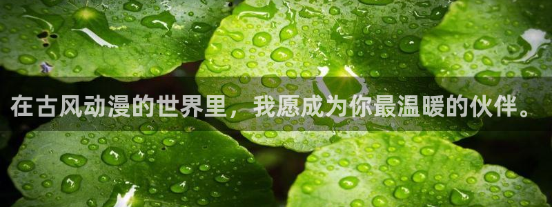 omofun最新版本：在古风动漫的世界里，我愿成为你最温暖的伙伴。