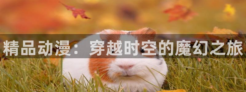omofun官网进入ios：精品动漫：穿越时空的魔幻之旅