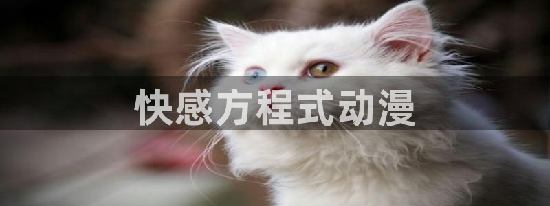 omofun下载官方正版网站：快感方程式动漫