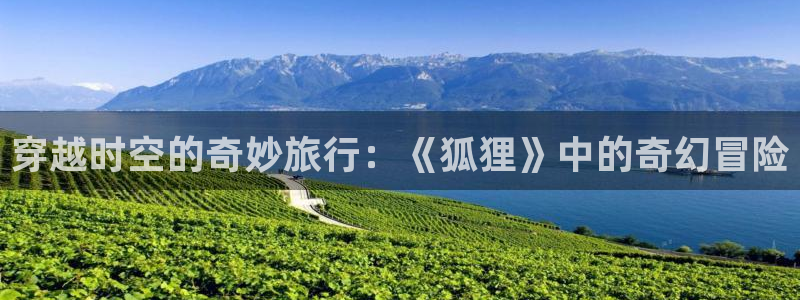 www.omofun.：穿越时空的奇妙旅行：《狐狸》中的奇幻冒险
