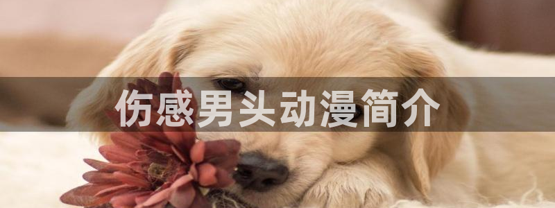 omofun电脑网页版：伤感男头动漫简介