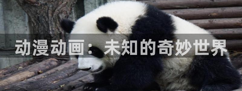 omofun官网下载入口：动漫动画：未知的奇妙世界
