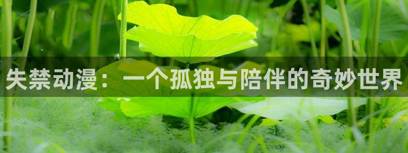 omofun官网：失禁动漫：一个孤独与陪伴的奇妙世界