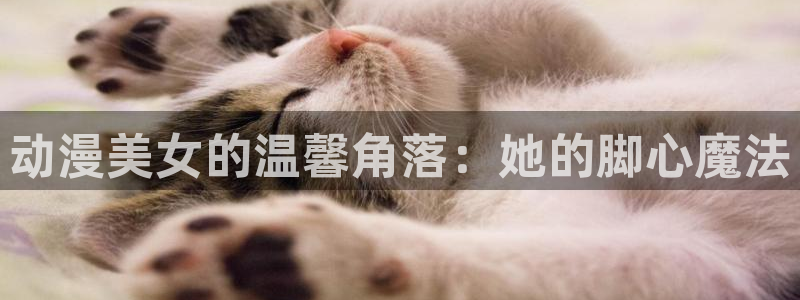 omofunpc：动漫美女的温馨角落：她的脚心魔法