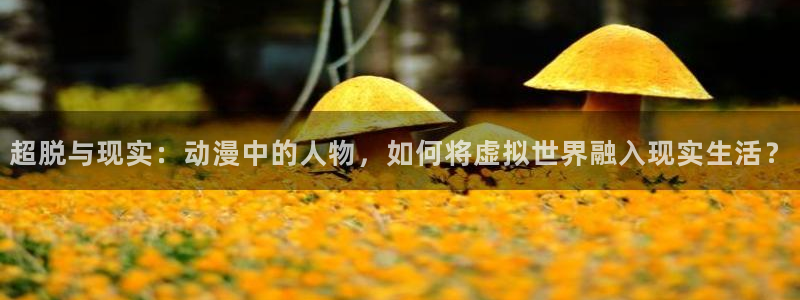 omofun宕卧：超脱与现实：动漫中的人物，如何将虚拟世界融入现实生活？