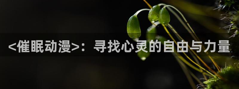 omofun缓存：<催眠动漫>：寻找心灵的自由与力量