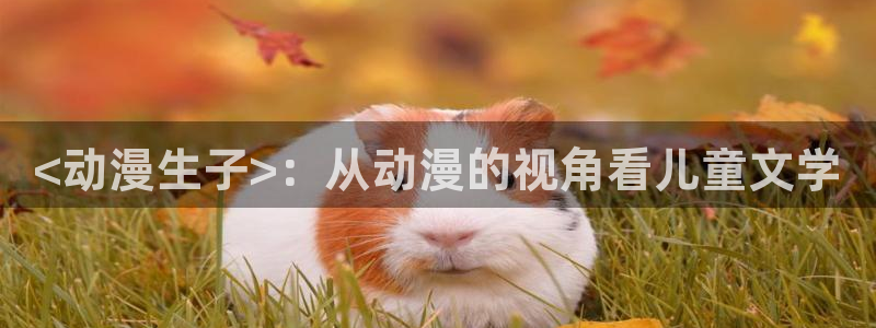 omofun动漫官网入口网址
