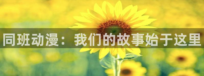 动漫omofun