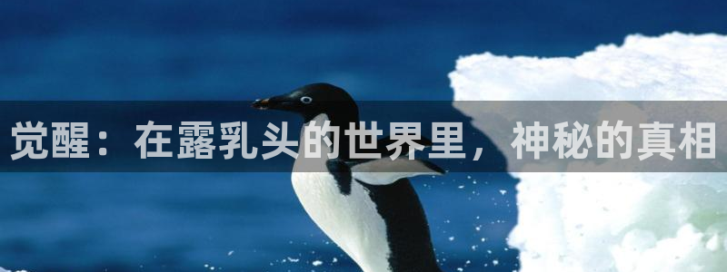 omofun正版官方链接