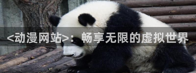 omofun动画网