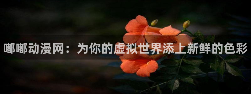 omofun 官网