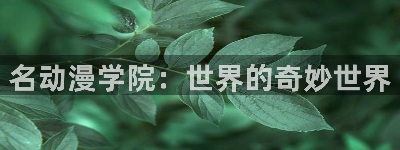omofun动漫官方：名动漫学院：世界的奇妙世界