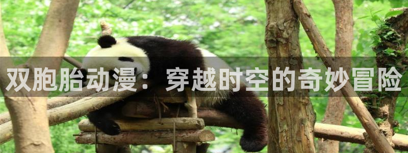 omofun官网下载安卓：双胞胎动漫：穿越时空的奇妙冒险