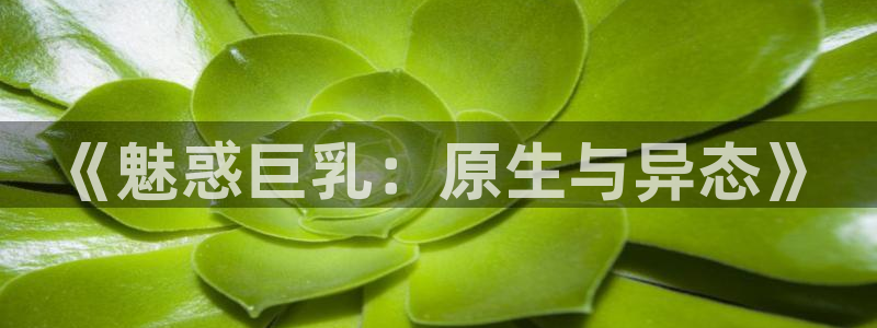 omofun新版本：《魅惑巨乳：原生与异态》